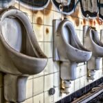 Immagine che mostra un water con macchie nere e prodotti per la pulizia.