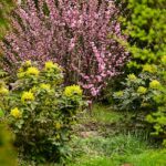 Giardino fiorito con piante resilienti e colorate, esempio di composizione floreale duratura.