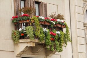 Perché le tue piante da balcone ingialliscono e come salvarle subito