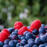 Lamponi e mirtilli coltivati in un piccolo angolo verde, pronti per la raccolta.