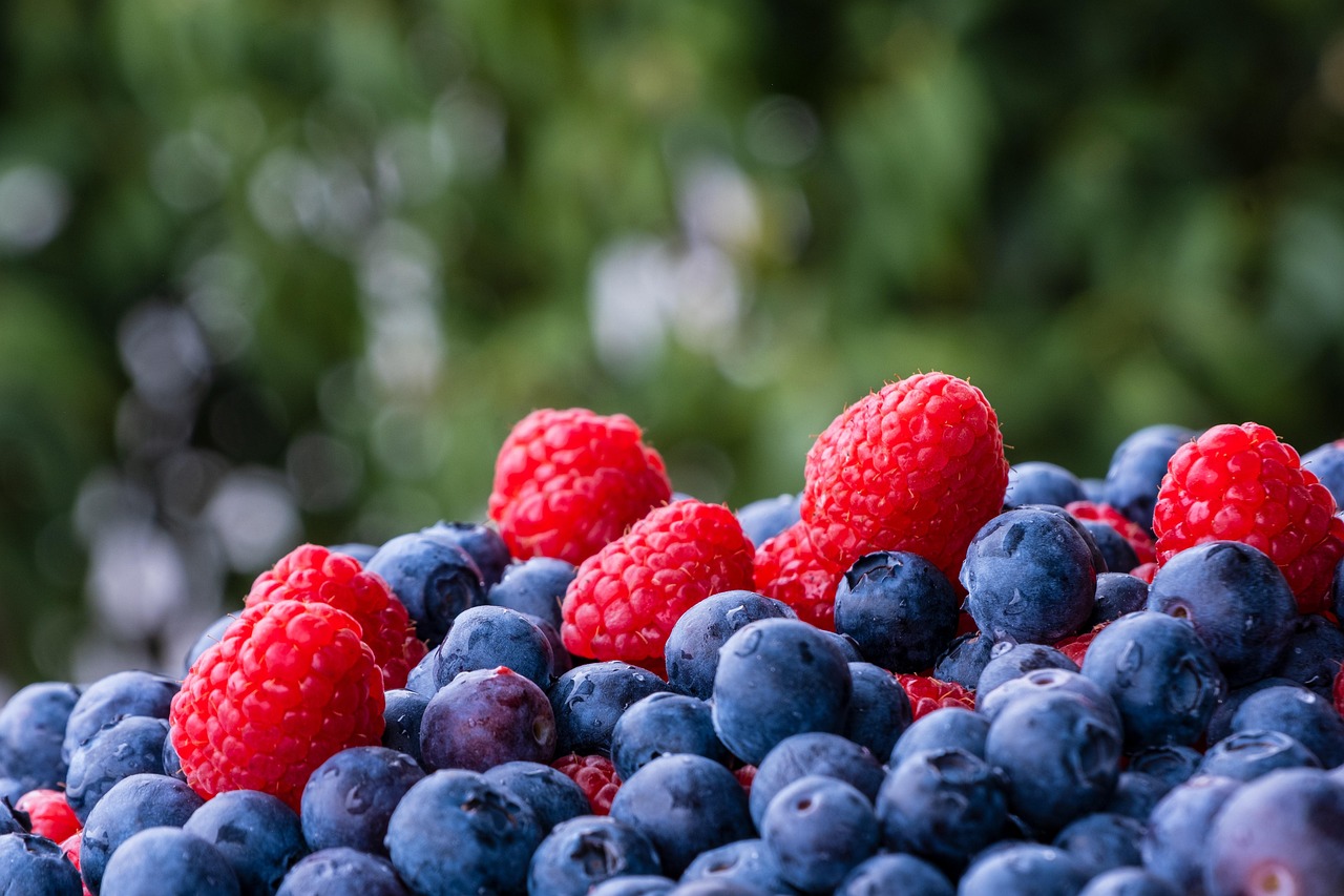 Lamponi e mirtilli coltivati in un piccolo angolo verde, pronti per la raccolta.
