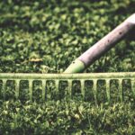 Prato verde sano con attrezzi da giardinaggio, simbolo di cura e prevenzione delle malattie fungine.