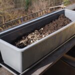 Orto sul balcone in primavera con piante verdi e fiori colorati pronti per la raccolta a maggio.